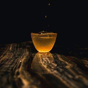 The Savory Project